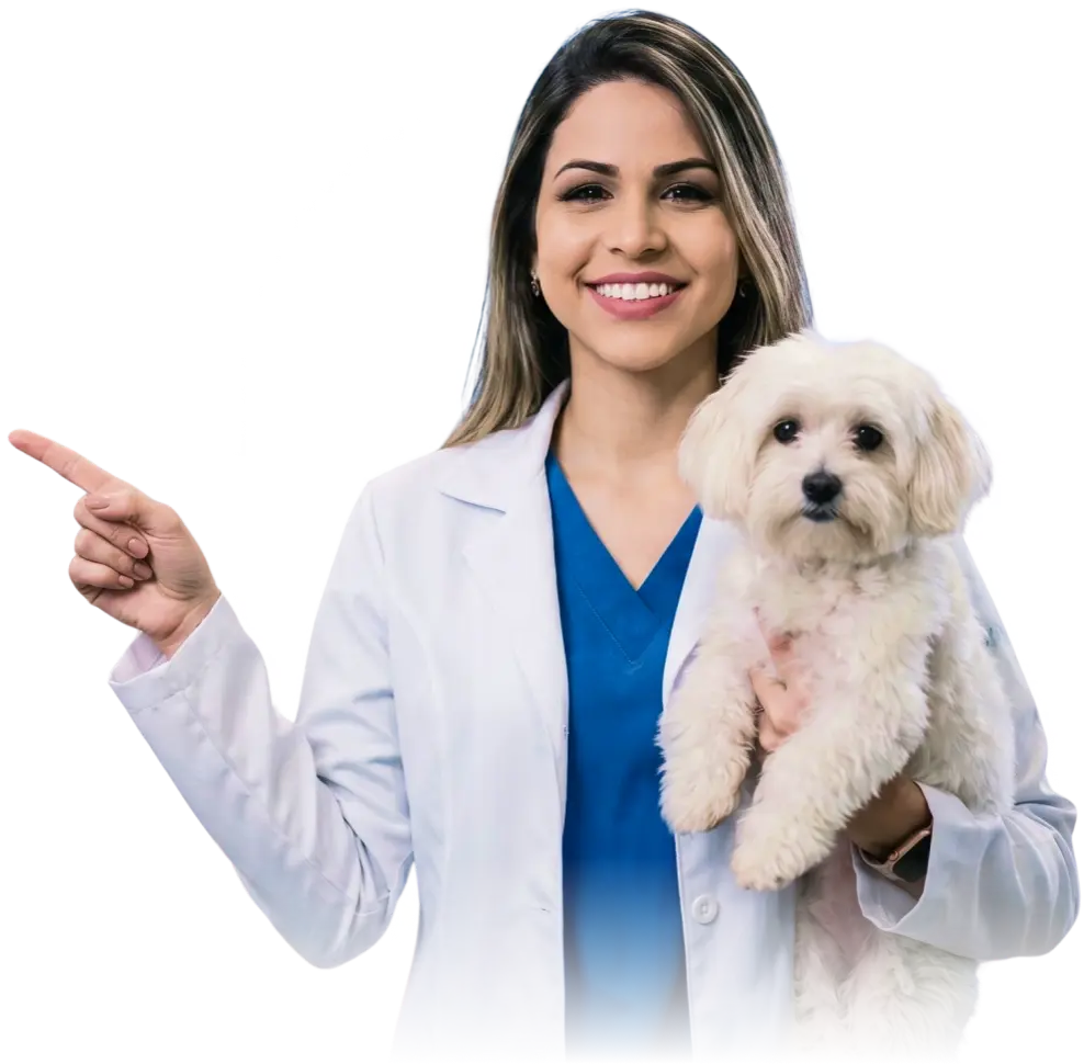 Veterinária com pet — TV Vet